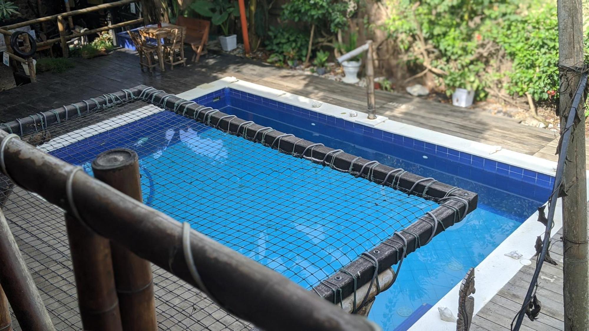 La Natura Hostel & Pool Palomino Eksteriør bilde