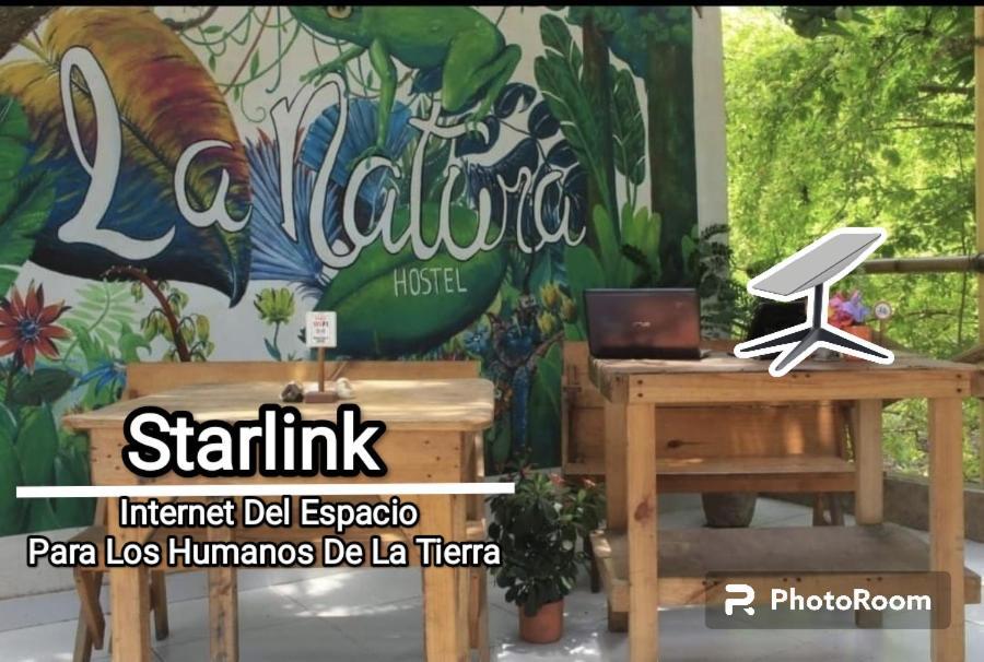 La Natura Hostel & Pool Palomino Eksteriør bilde