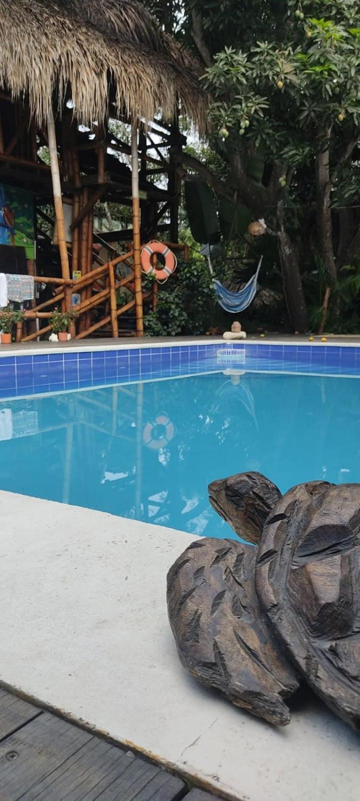 La Natura Hostel & Pool Palomino Eksteriør bilde