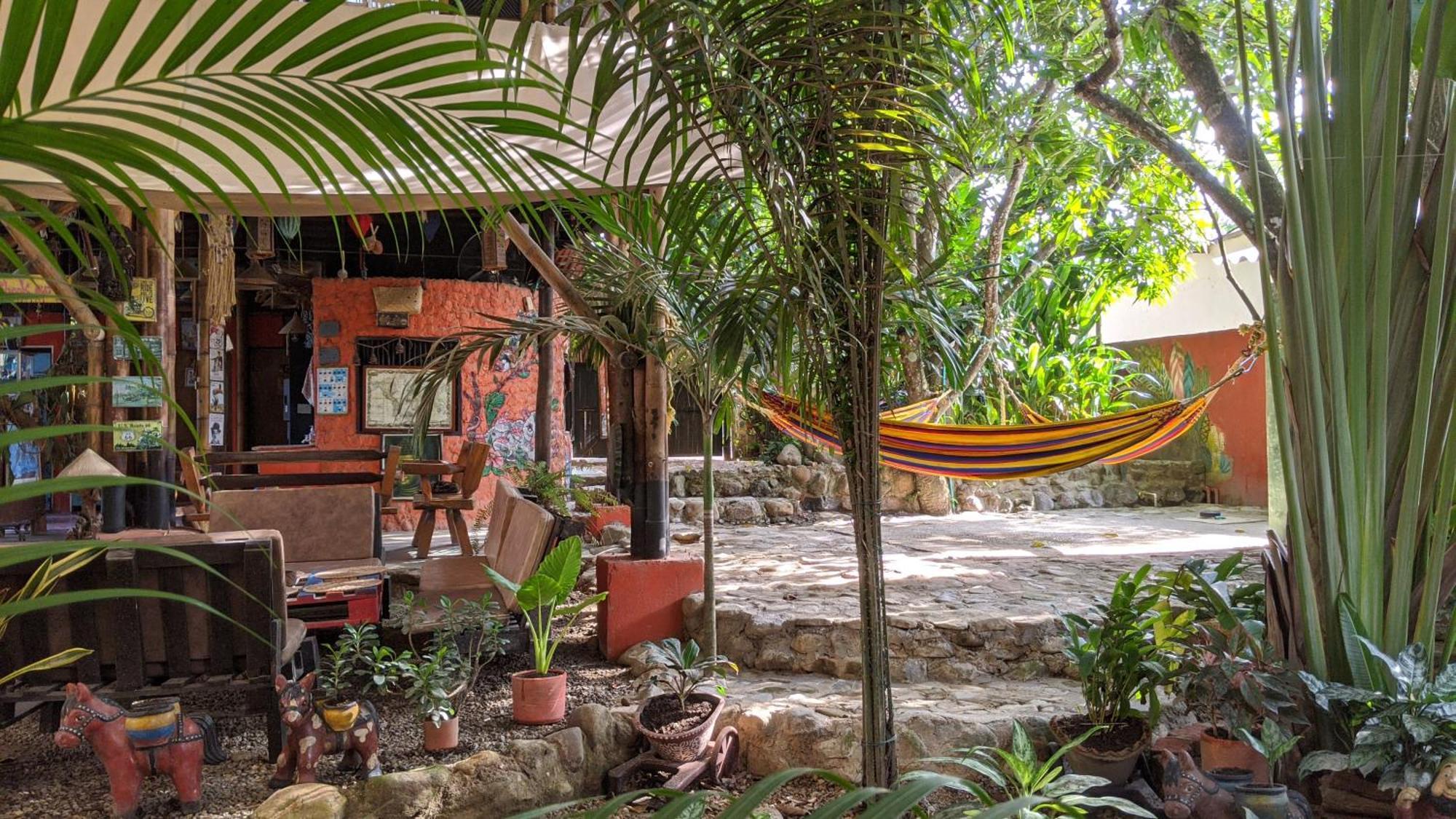 La Natura Hostel & Pool Palomino Eksteriør bilde