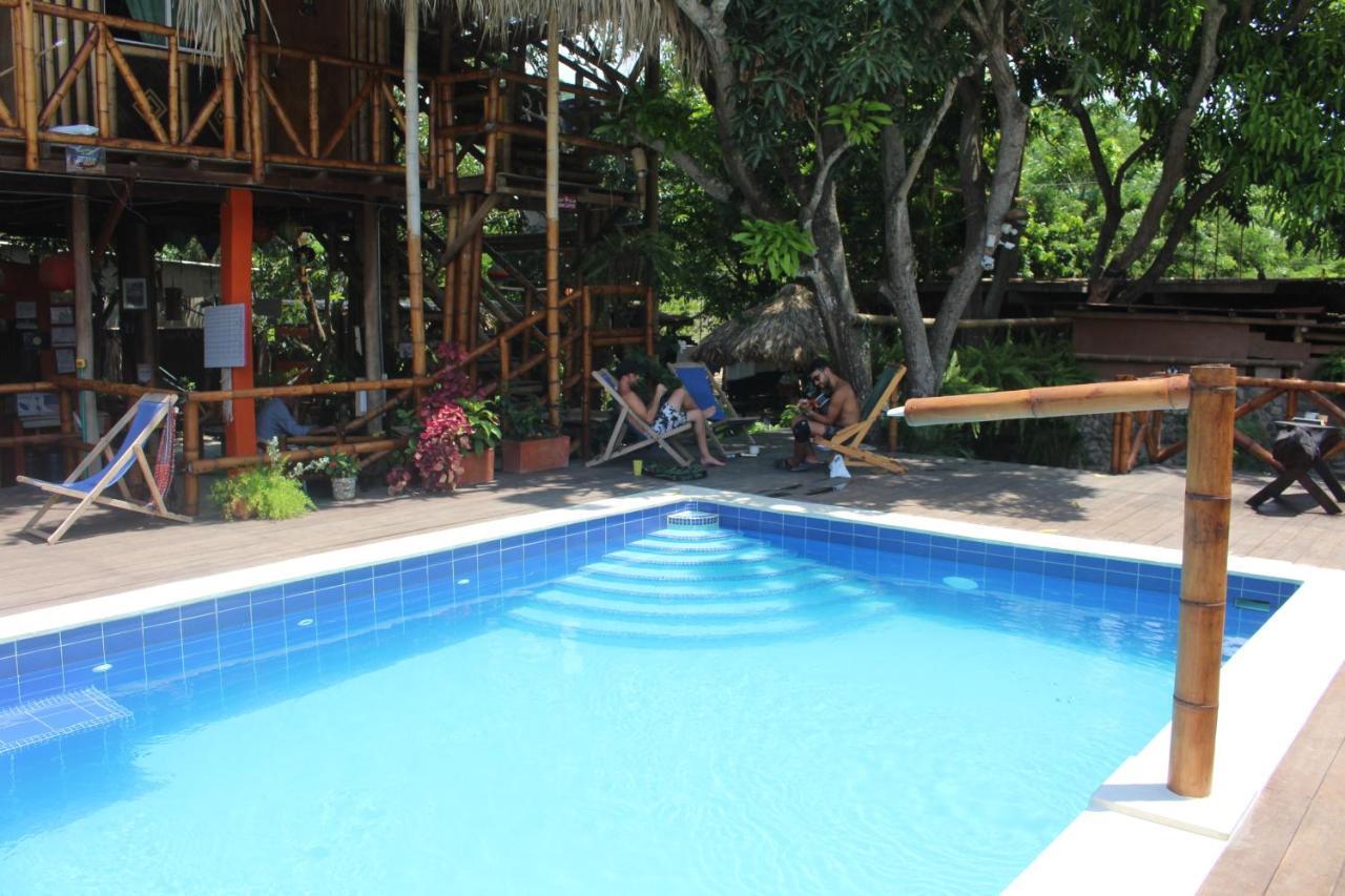La Natura Hostel & Pool Palomino Eksteriør bilde